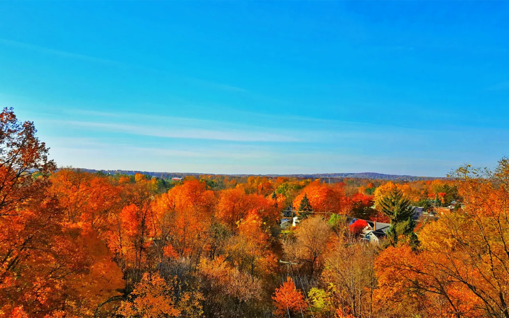high-quality manufactured housing community in Michigan, cheap manufactured home, Almont MI Mobile Home Communities Nearby, m