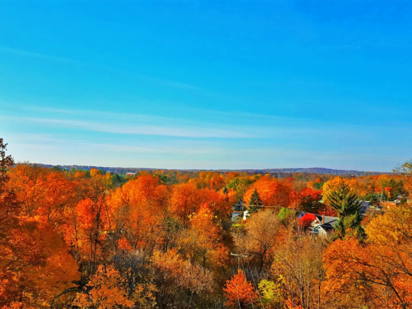 high-quality manufactured housing community in Michigan, cheap manufactured home, Almont MI Mobile Home Communities Nearby, m