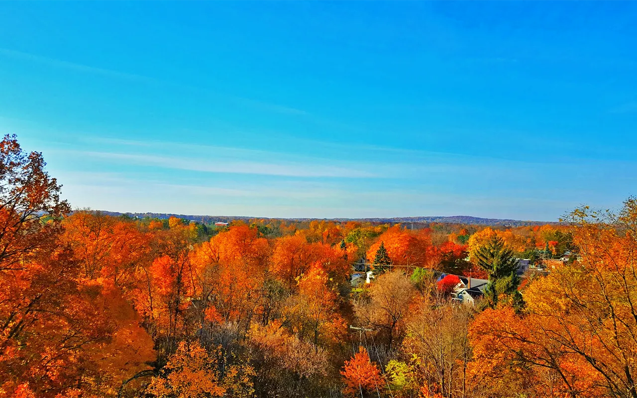 high-quality manufactured housing community in Michigan, cheap manufactured home, Almont MI Mobile Home Communities Nearby, m