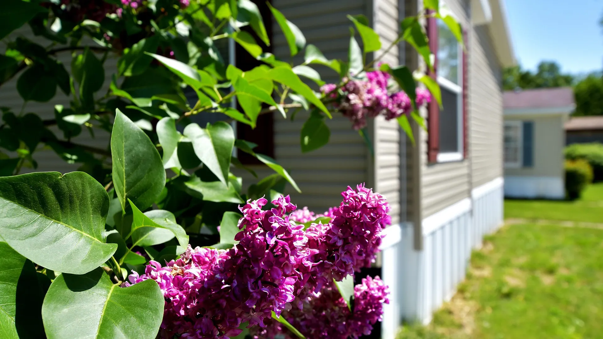 buy energy-efficient, Champion Homes, mobile homes for rent, Manufactured Home Community in Almont MI Kingsbrook Estates, che